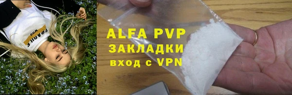 индика Алексин